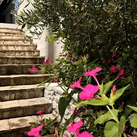 Nyaraló Akomodim I Persosur Per Pushime *